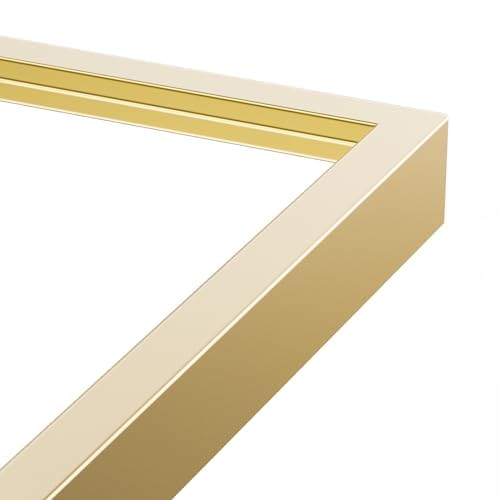 Sweetcrispy 64x21 Arched Full Length Standing/Leaning Body Mirror, Gold Aluminum Frame