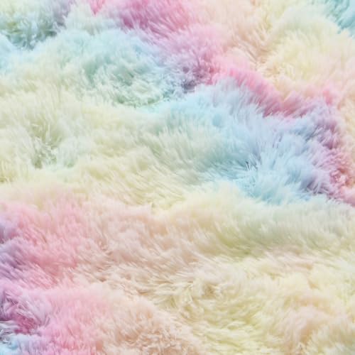 Ultra Soft Fluffy Tie-Dyed Shag Area Rug for Living Room