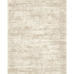 Soalmost Washable Area Rug 8x10, Soft Vintage Beige Carpet for Living Room, Non-Slip, Stain-Resistant