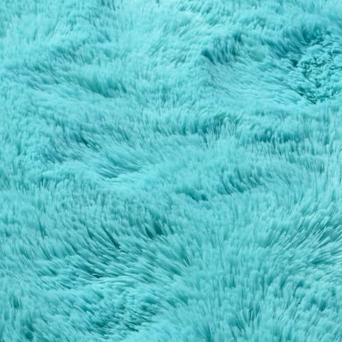 Ultra Soft Fluffy Tie-Dyed Shag Area Rug for Living Room
