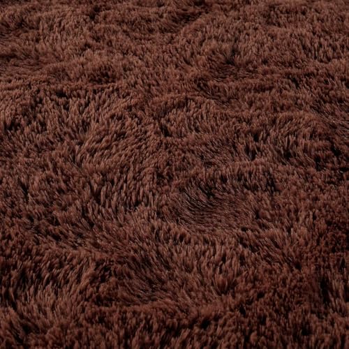 Ultra Soft Fluffy Tie-Dyed Shag Area Rug for Living Room