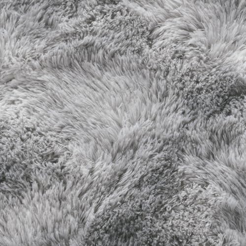 Ultra Soft Fluffy Tie-Dyed Shag Area Rug for Living Room