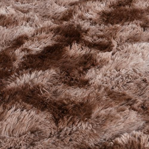 Ultra Soft Fluffy Tie-Dyed Shag Area Rug for Living Room