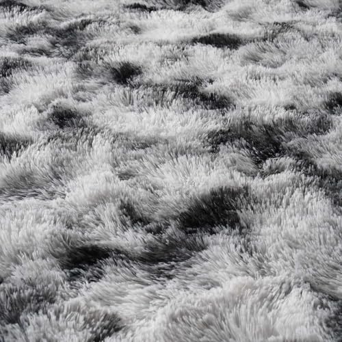 Ultra Soft Fluffy Tie-Dyed Shag Area Rug for Living Room