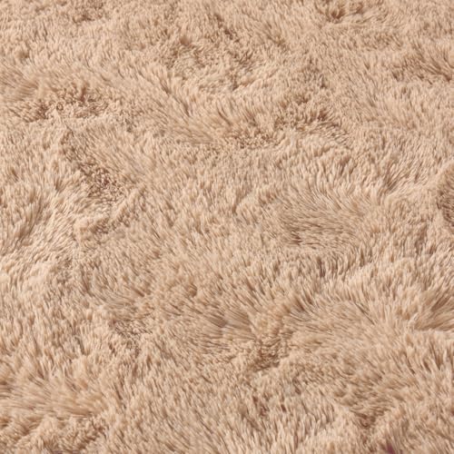 Ultra Soft Fluffy Tie-Dyed Shag Area Rug for Living Room