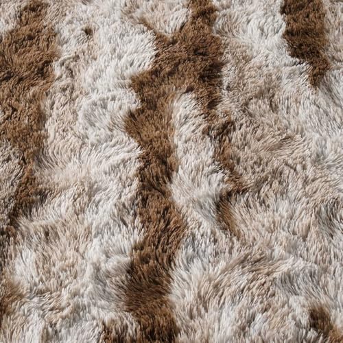 Ultra Soft Fluffy Tie-Dyed Shag Area Rug for Living Room