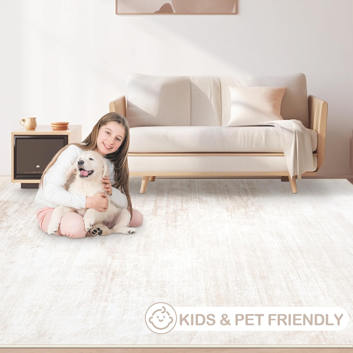 Modern Abstract Washable Area Rug 6x9: Soft, Non-Slip, Stain Resistant for Living Room