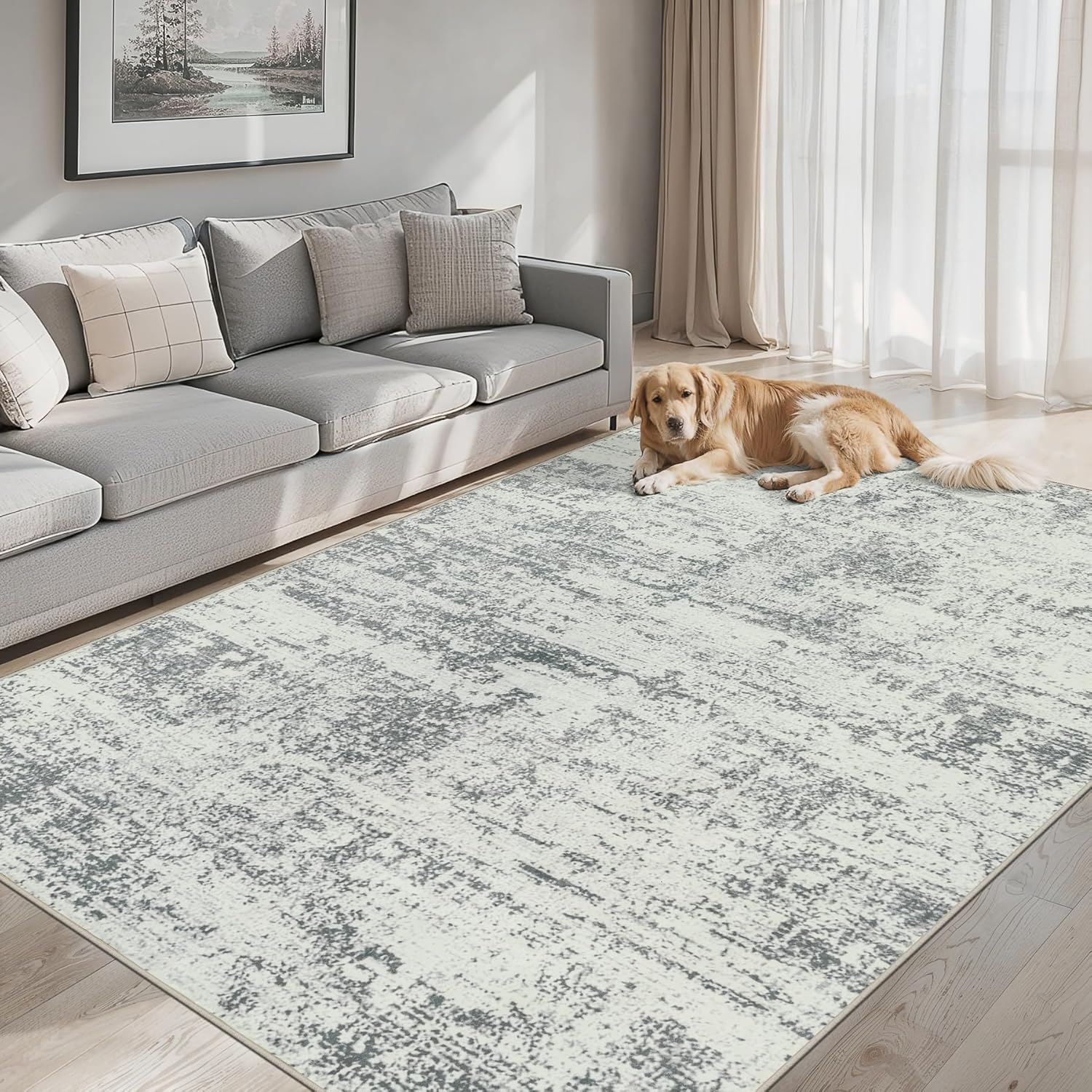 Modern Abstract Washable 8x10 Area Rug for Living Room, Non-Slip, Stain Resistant